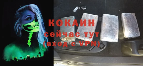 сатива Баксан