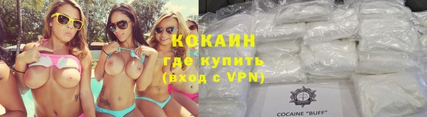 сатива Баксан