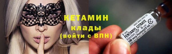 сатива Баксан