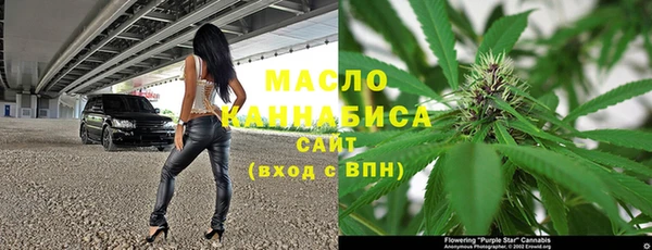 сатива Баксан