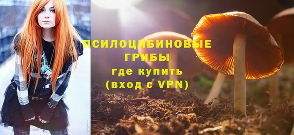 сатива Баксан