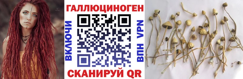 Галлюциногенные грибы Cubensis  Голицыно 